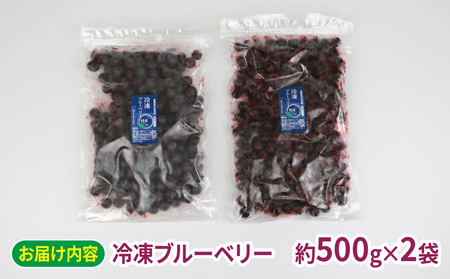 ブルーベリー 1kg(500g×2袋) 粒楽 南四国ファーム 冷凍 フルーツ ベリー 果物 J013-035014