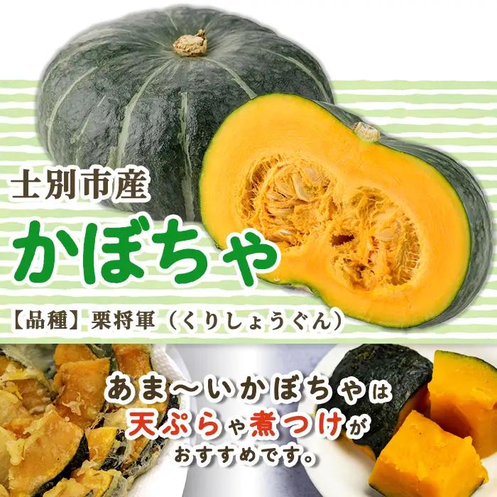 かぼちゃ くり将軍 5kg 2026年10月中旬以降順次発送 カボチャ 【士別農園】A7115