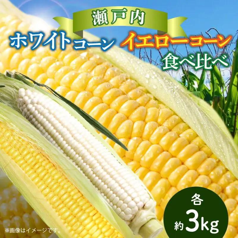 瀬戸内ホワイトコーン・イエローコーン食べ比べ 各約3kg【2026-6月中旬～2026-7月中旬配送】| コーン