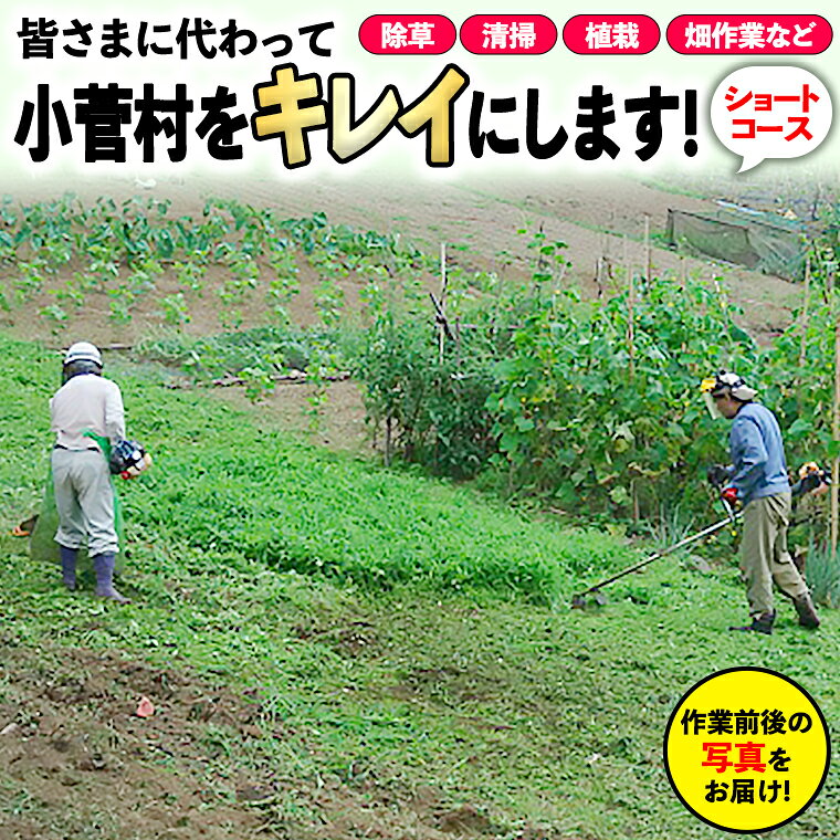 【ふるさと納税】ふるさと小菅をきれいに！除草、清掃等サービス 〜ショートコース〜