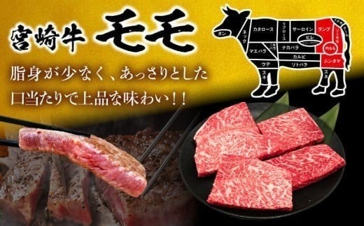【10/1から寄附額改定】【10月末までにお届け】【畜産農家応援】数量限定 厳選 宮崎牛 赤身 ステーキ 計1kg 粗挽きウインナー 牛肉 国産 鉄板焼き BBQ バーベキュー 人気 黒毛和牛 モモ 