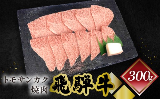 菊の井 飛騨牛トモサンカク焼肉  300g（2～3人前）牛肉 ブランド牛 国産 牛 ともさんかく 高級 やきにく 焼き肉【冷凍】