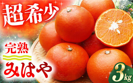 【2026年12月先行予約】【家庭用】みはや 約3kg[ECL004] 長崎 長崎みかん