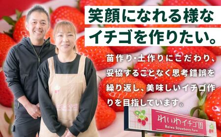 【いちご】3ヶ月定期便 やよいひめ いちご 800g×3回
