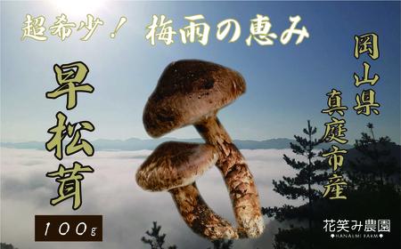 【2616-0480】岡山 花笑み農園 超希少！早『松茸』100g 梅雨の恵み (6月から7月発送)