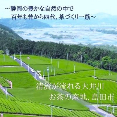 ふるさと納税 島田市 まろやか煎茶ティーバッグ　里山のしずく　5本 |  | 02