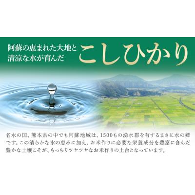 ふるさと納税 _南阿蘇村 【12ヶ月定期便】こしひかり 白米 20kg 精米 《お申し込みの翌月から出荷》