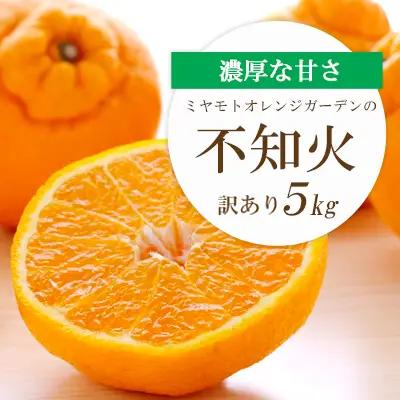【先行受付】デコポンと同品種 濃厚柑橘 不知火(しらぬい)愛媛県八幡浜市産 5kg【訳あり】【D25-139】【1138007】 YWTAP082