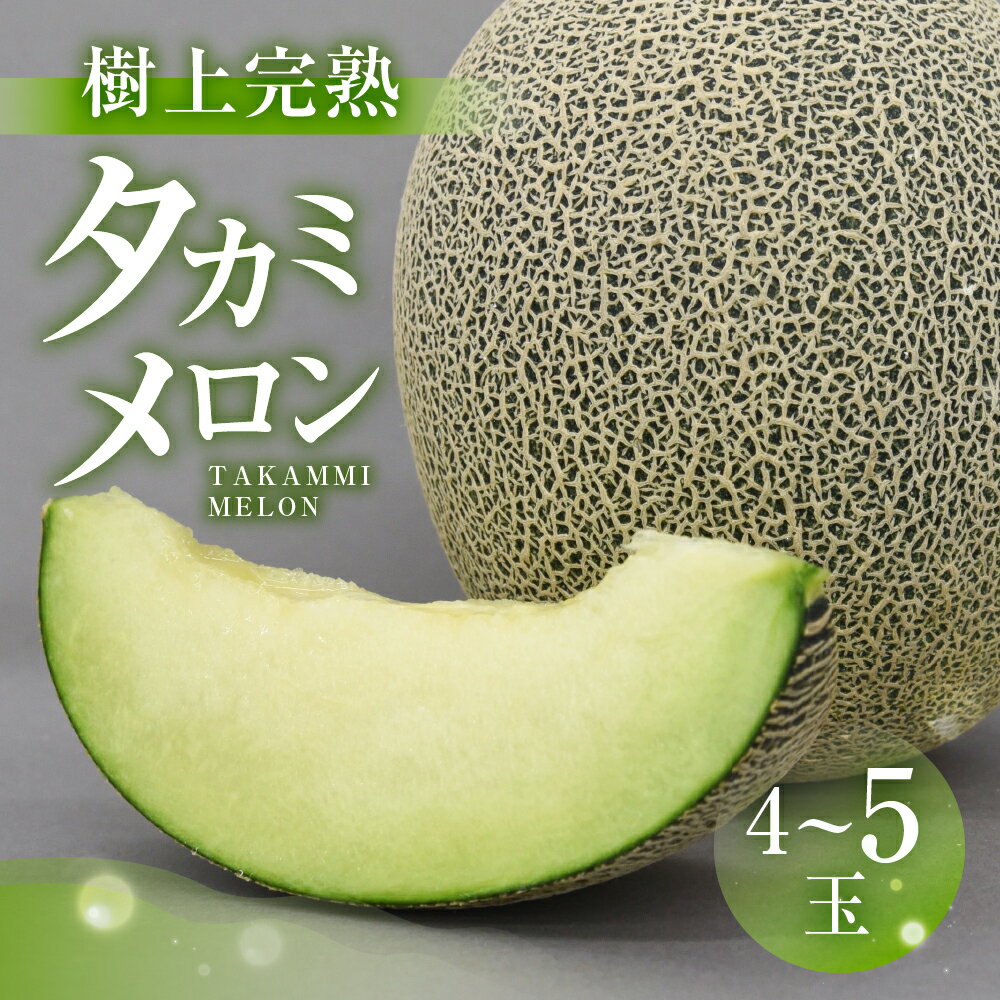 【ふるさと納税】渥美半島産　青木さんちのタカミメロン 樹上完熟 4玉～5玉 約5kg メロン タカミメロン 青肉メロン 完熟 フルーツ 果物 デザート 農家直送 送料無料 熟成