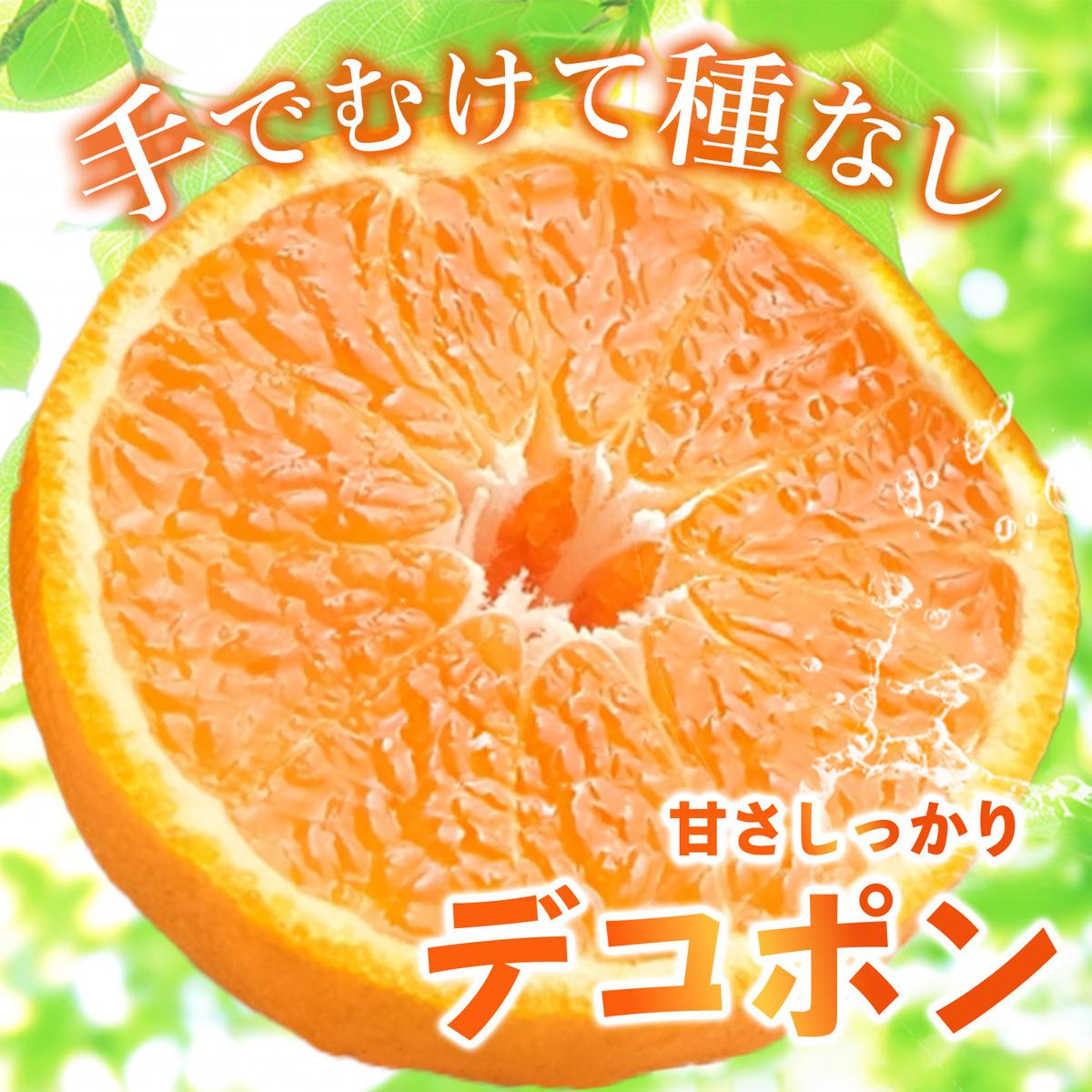 【2027年1月中旬より発送開始】不知火(デコポン) 約5kg【みかん 柑橘 清美 ポンカン フルーツ デザート】(H116137)
