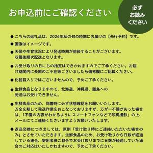 【2026年発送分 先行予約】岡山県産 シャインマスカット 600g以上（1房）【ご家庭用】【025-a034】