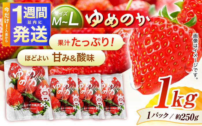 
                  【1週間以内発送/限定数量】【家庭用に最適】長崎いちご「ゆめのか」M〜Lサイズ 約250g×4パック 合計1000g /苺 イチゴ いちご フルーツ デザート ジューシー 食卓 おやつ 1kg 4P/諫早市/長崎県央農業協同組合Aコープ本部 [AHAA034]
                