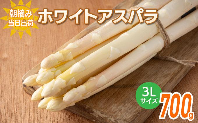 数量限定 ホワイトアスパラガス 3L 700g 朝採り 朝採れ 直送 ホワイトアスパラガス アスパラ【2月～4月お届け】 BT01w