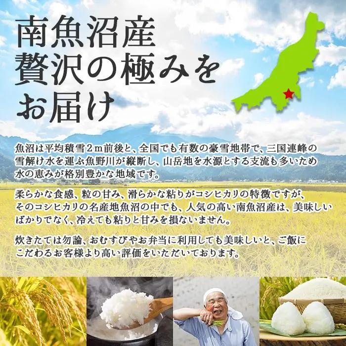 ｜無洗米｜新潟県 南魚沼産 コシヒカリ お米 5kg（お米の美味しい炊き方ガイド付き）【銘柄米 ブランド米 無洗米 こしひかり コシヒカリ 魚沼産 新潟米 産地直送 お米 米 こめ コメ ご飯 御飯 