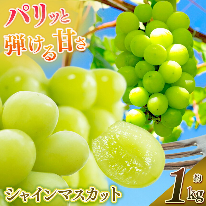 【ふるさと納税】 シャインマスカット （ 1kg ） | 果物 くだもの フルーツ シャイン マスカット ぶどう 葡萄 ブドウ 奈良県 五條市