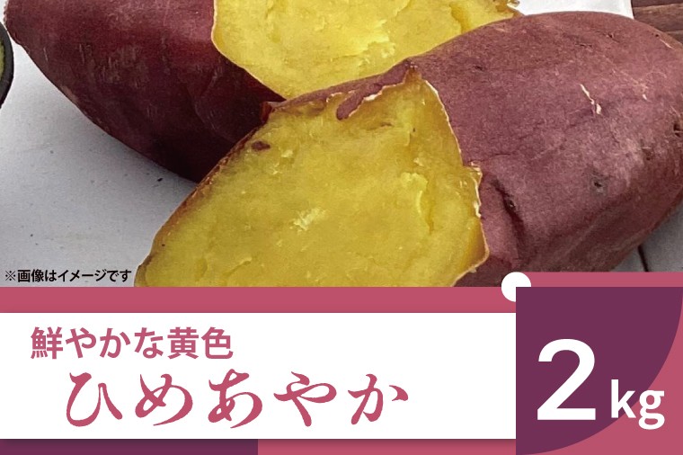 
                  【2026年11月より順次発送】2026年度産 鮮やかな黄色のさつまいも ひめあやか 約2kg｜さつまいも サツマイモ さつま芋 芋 お芋 ひめあやか 先行予約 渋谷農園 人気 送料無料 茨城県 行方市(BZ-52)
                