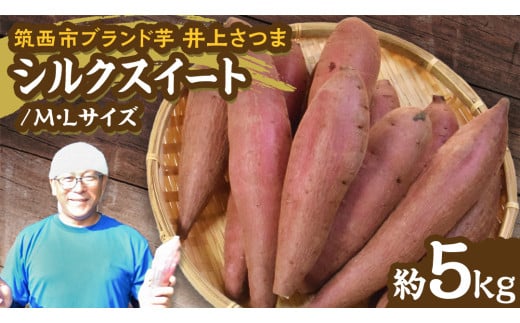 【 よしのいも 】井上さつま 「 シルクスィート 」 M・Lサイズ 約5kg ( 土なし ) 完熟 さつまいも いも おいも 焼き芋 芋 おやつ まごころ野菜よしの [DX015ci]