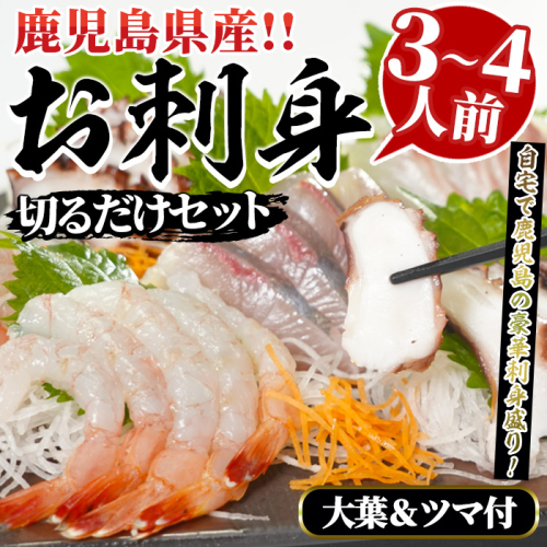 鹿児島県産！お刺身切るだけセット(3人～4人前)国産 刺し身盛 魚貝 魚介 海産物 刺身 蛸 たこ 海老 エビ かんぱち タイ 簡単調理 おつまみ セット 小分け 個包装【さるがく水産】a-12-58