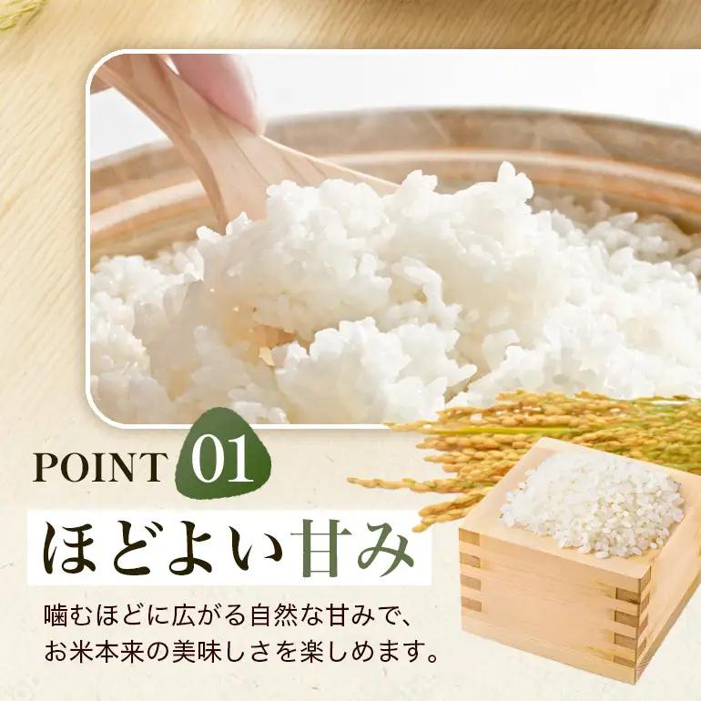【3回定期便】 ひのひかり 米 お米 玄米 20kg 令和8年産 新米 【JA福岡くるめ にじの耳納の里】 A01-011-BW03-320