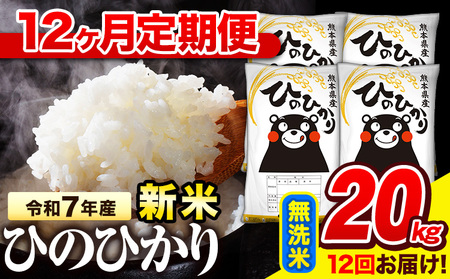 新米 令和7年産 無洗米 【12ヶ月定期便】 ひのひかり 20kg《11月から出荷開始》 熊本県産 無洗米 精米 氷川町 ひの 送料無料 ヒノヒカリ コメ 便利 ブランド米 お米 おこめ 熊本