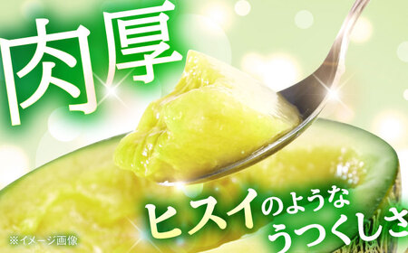 【先行予約】【数量限定】肥後グリーンメロン 1玉 計約2kg 【合同会社 福福堂】[AYAC053]