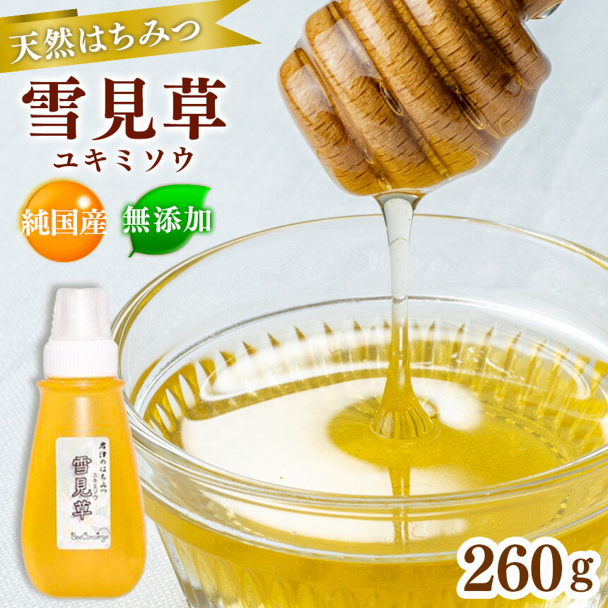 【ふるさと納税】 純国産 「雪見草（ユミソウ） はちみつ」260g 1本 | 国産 無添加 Bee concierge プラスチックチューブ入り ビーコンシェルジュ 斉藤兄弟 単花はちみつ専門 君津市 きみつ 千葉県