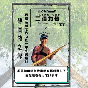 自然薯 1.2kg  個包装 たくみファーム 静岡県 牧之原市 自然薯