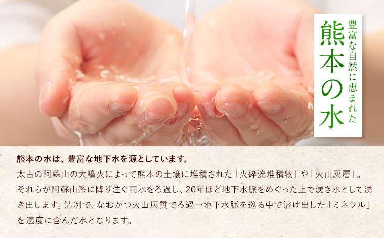 【6ヶ月定期便】 白米 ひのくに米 15kg 《お申込み月の翌月から出荷開始》 食品 米 こめ コメ 熊本県産 ふるさと納税 お米 おこめ 熊本---ubuyamatei_lcl_171_mo6num