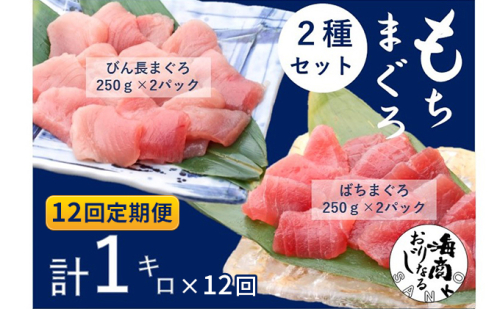 【12回定期便】バチマグロ切落し×びん長マグロ中トロ切落し 合計1kg（各250g×2パック）×12回【配送不可：離島】