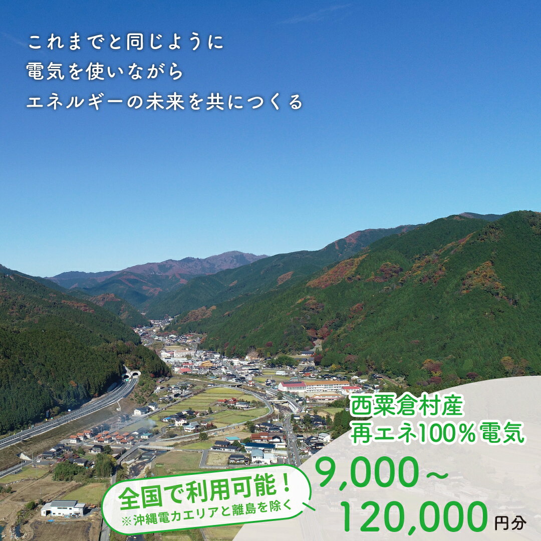 【ふるさと納税】電気料金 百森でんき CO2フリー 地域電力 お礼の電気 脱炭素 ゼロカーボン 岡山県 西粟倉村 【まずは寄付のお申し込みを！】 e-vv-J01D