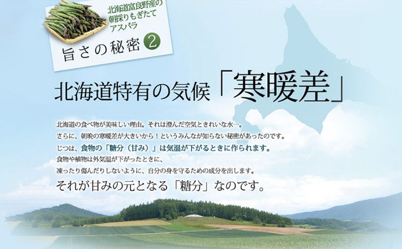 【2027年春発送】極太 グリーンアスパラ 3Lサイズ 1kg (スイー