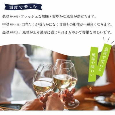 山梨 甲州 白ワイン 辛口 八幡洋酒 昔ながらのぶどう酒 720ml×1本【1641134】