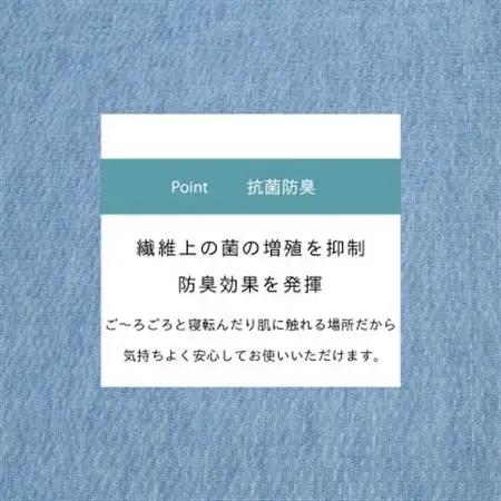 カーペット 日本製 抗菌防臭 軽量薄手 ジェミニ 261×352cm 江戸間 6畳用 ブルー【1517179】