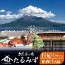 【ふるさと納税】錦江湾で船釣り！海の幸満喫 日帰りプラン(1名様)体験 釣り 船釣り 船釣り体験 アウトドア 日帰り 鹿児島 魚 刺身 レジャー【古民家の宿たるみず】D4-2403