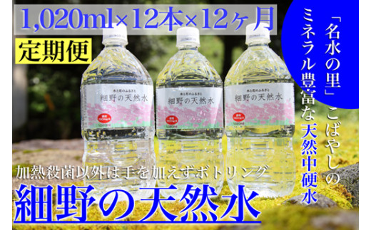 
【定期便・霧島連山天然水 年12回】ミネラルたっぷり天然中硬水 細野の天然水1,020ml×12本×12回（国産 ナチュラルウォーター ミネラルウォーター 天然水 水 中硬水 シリカ 美容 人気 霧島 宮崎 小林市 送料無料）
