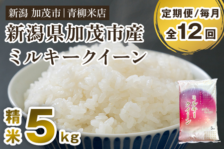 【令和6年産米】【定期便12ヶ月毎月お届け】新潟県央地区 ミルキークイーン 精米5kg 白米 青柳米店 定期便 定期購入 定期