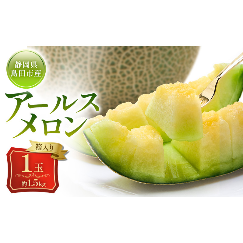 メロン 7月納品 静岡県産 アールスメロン 箱入り 1玉(約1.5kg) 果物 くだもの 果実 養液栽培 ポット 希少 甘み 島田市 静岡県
