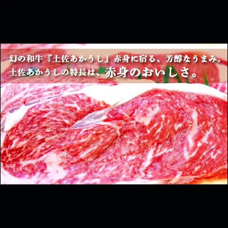 土佐あかうし 和牛サーロイン／ステーキ 500g（250g×2枚） | あか牛 赤身 旨味 希少 幻 贈り物 ギフト 高知県 南国市