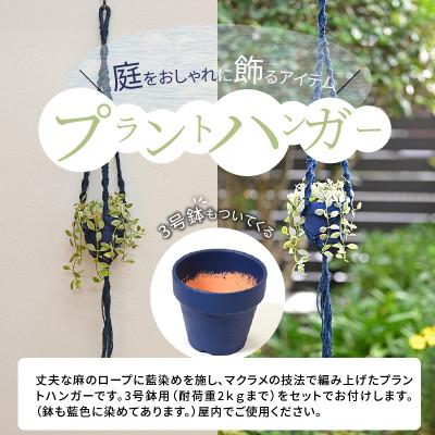 ふるさと納税 木城町 じゅうじ染め(藍染め)プラントハンガーと3号鉢 |  | 01