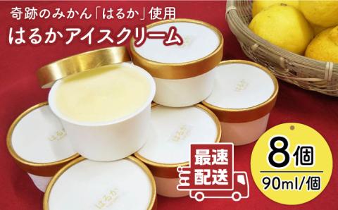 【限定25セット！】はるかみかんアイスクリーム8個セット≪糸島市≫【あいしん食品株式会社】数量限定 [AGI001]