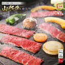【ふるさと納税】山形牛 焼肉用 肉質等級：4等級(B.M.S.No.5)以上 F2Y-0842
