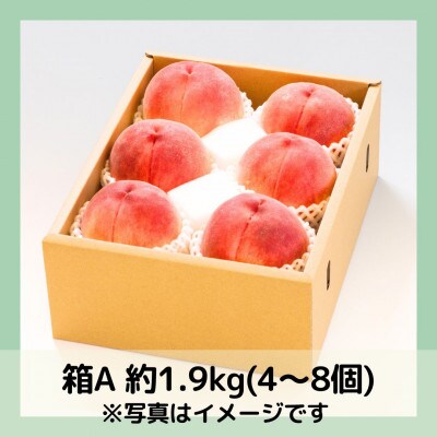 山梨 萩原フルーツ農園の桃　白桃A (約1.9kg 4～8個入)【配送不可地域：離島】