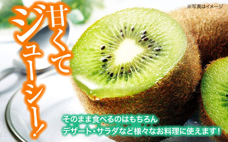 愛媛県産　グリーンキウイ 8玉～10玉入 愛媛県大洲市/株式会社フジ・アグリフーズ キウイ きうい キューイ kiwi ヘイワード[AGBA016]