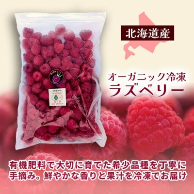 有機JAS認証 冷凍ラズベリー2種食べ比べセット 3kg (500g×6袋)【十勝産 希少品種】【配送不可地域：離島】【1677061】