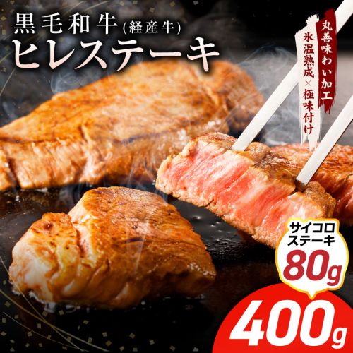 【特別規格】黒毛和牛 ヒレステーキ ＋ サイコロステーキ 合計 480g【氷温熟成×極味付け 牛肉 和牛 経産牛 訳あり サイズ不揃い 規格外 数量限定】 mrz0319