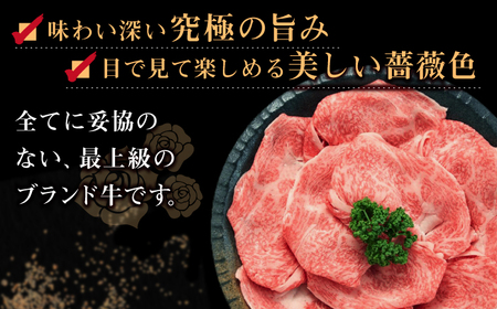 【全6回定期便】【日本一の和牛】長崎和牛 出島ばらいろ 特選 ロース スライス 350g ＆ サーロイン ステーキ 約250g 詰合せ 【合同会社　肉のマルシン】[RCI043]