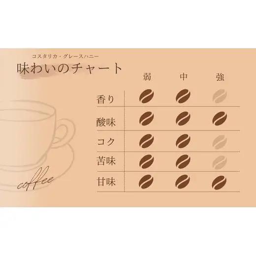 【自家焙煎】カフェ・フランドル コスタリカ・PNグレースハニー（200g・粉） 2025/9/19～