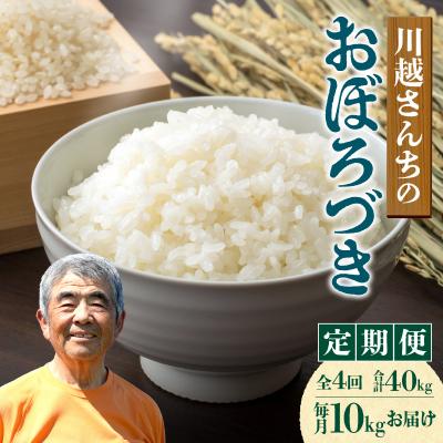 ふるさと納税 雨竜町 【定期便全4回】令和7年産 川越さんちの おぼろづき 10kg(5kg×2袋)毎月1回お届け