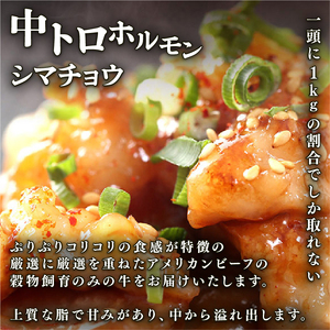【 訳あり 】 中トロホルモン 西京味噌焼き 1kg ( 100gパック )  トロ 焼肉 牛 西京焼き 味噌 味付 小分け 冷凍 牛 肉 熨斗 贈答 ギフト 希少部位 肉 お歳暮 御歳暮 御中元 お