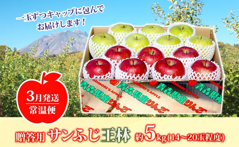 りんご 【3月発送】糖度13度～ 贈答用 サンふじ 王林 約5kg　リンゴ 林檎 青森りんご 糖度 13度 甘い 酸味 デザート フルーツ 果物 お取り寄せ 産地直送 旬 季節限定 弘果物流 青森県 西目屋村 西目屋村産